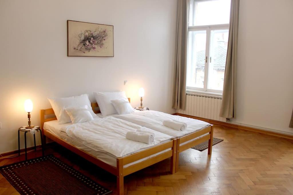 Apartman Mario 萨格勒布 外观 照片